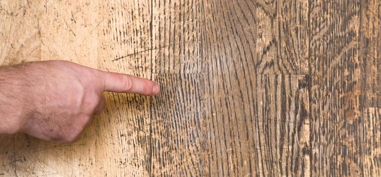 Wood Door Scratch Repair in Dublin